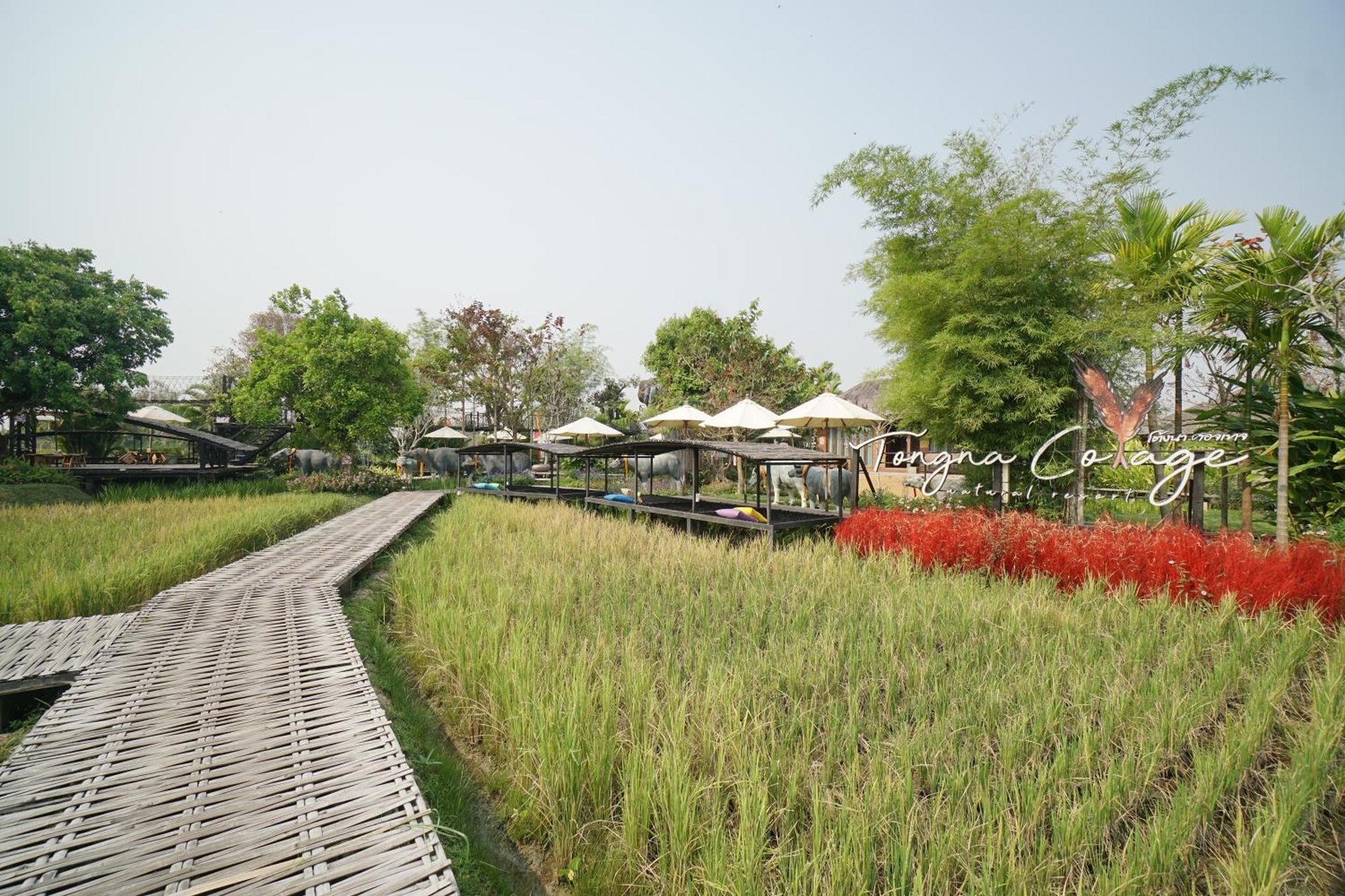 Tongna Cottage Natural Resort Chiang Mai Exterior photo