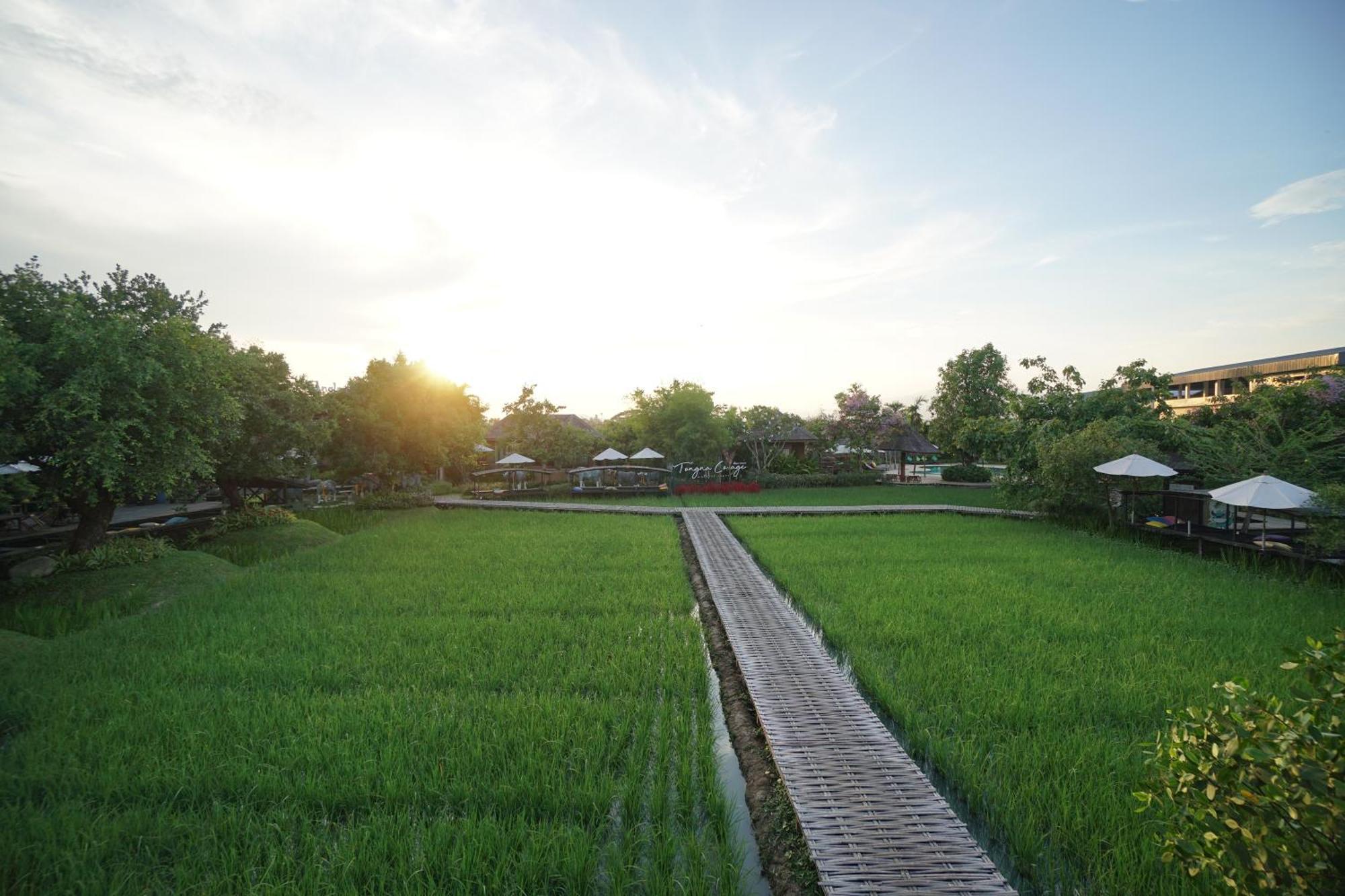 Tongna Cottage Natural Resort Chiang Mai Exterior photo