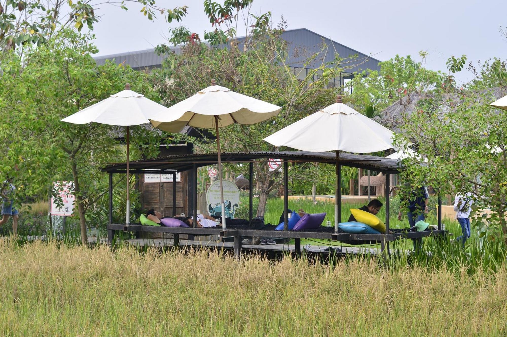 Tongna Cottage Natural Resort Chiang Mai Exterior photo
