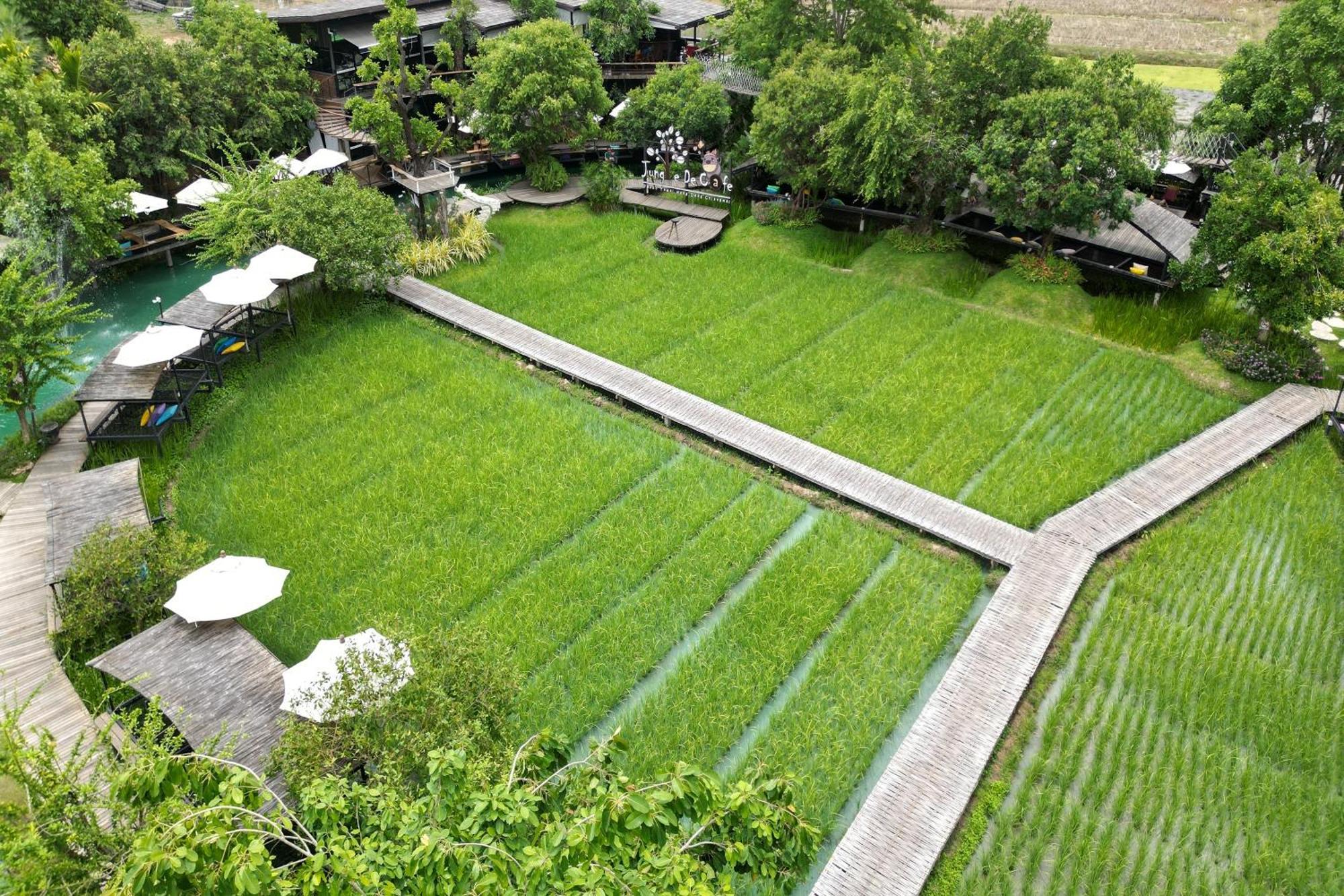 Tongna Cottage Natural Resort Chiang Mai Exterior photo