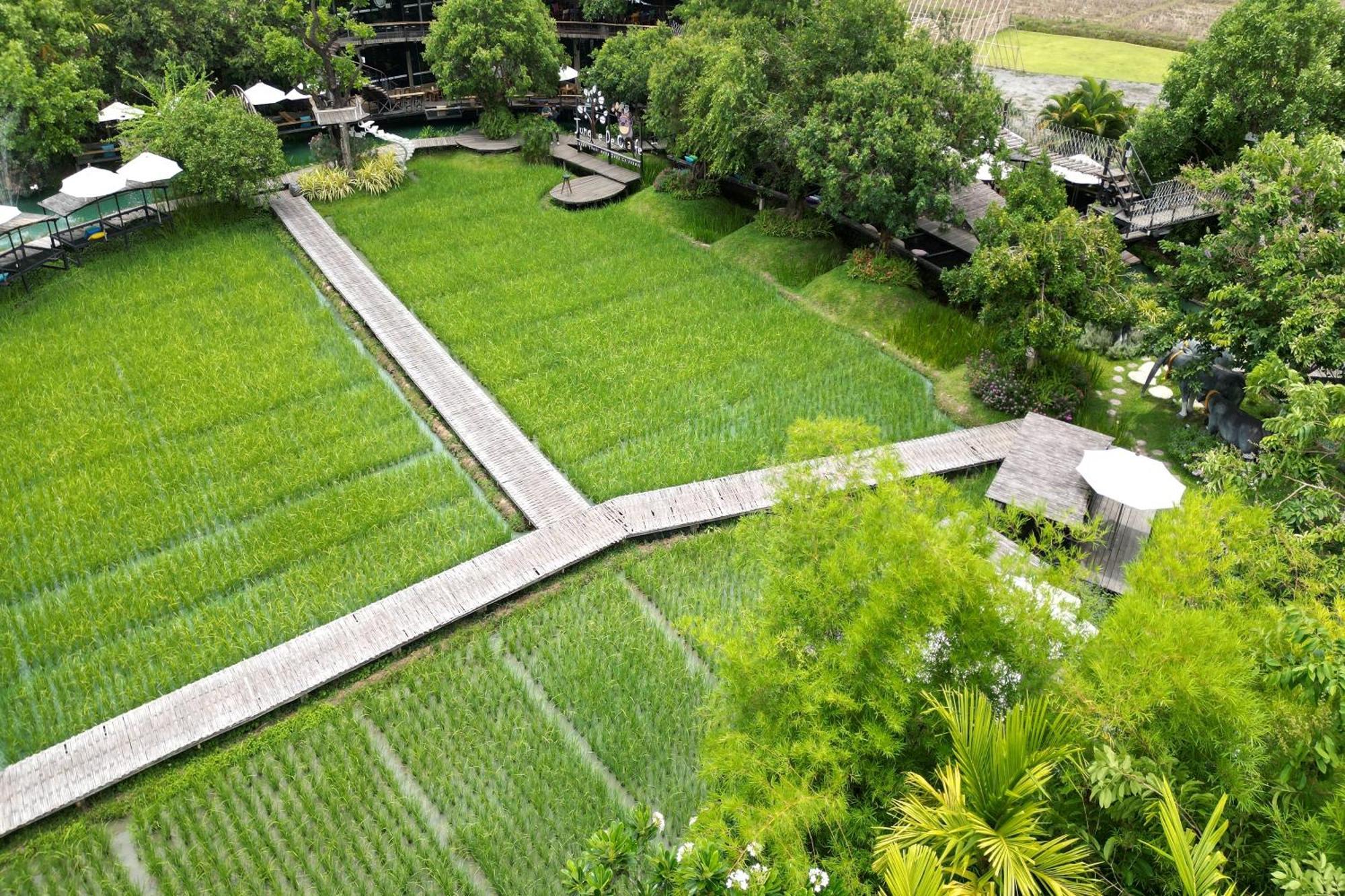 Tongna Cottage Natural Resort Chiang Mai Exterior photo