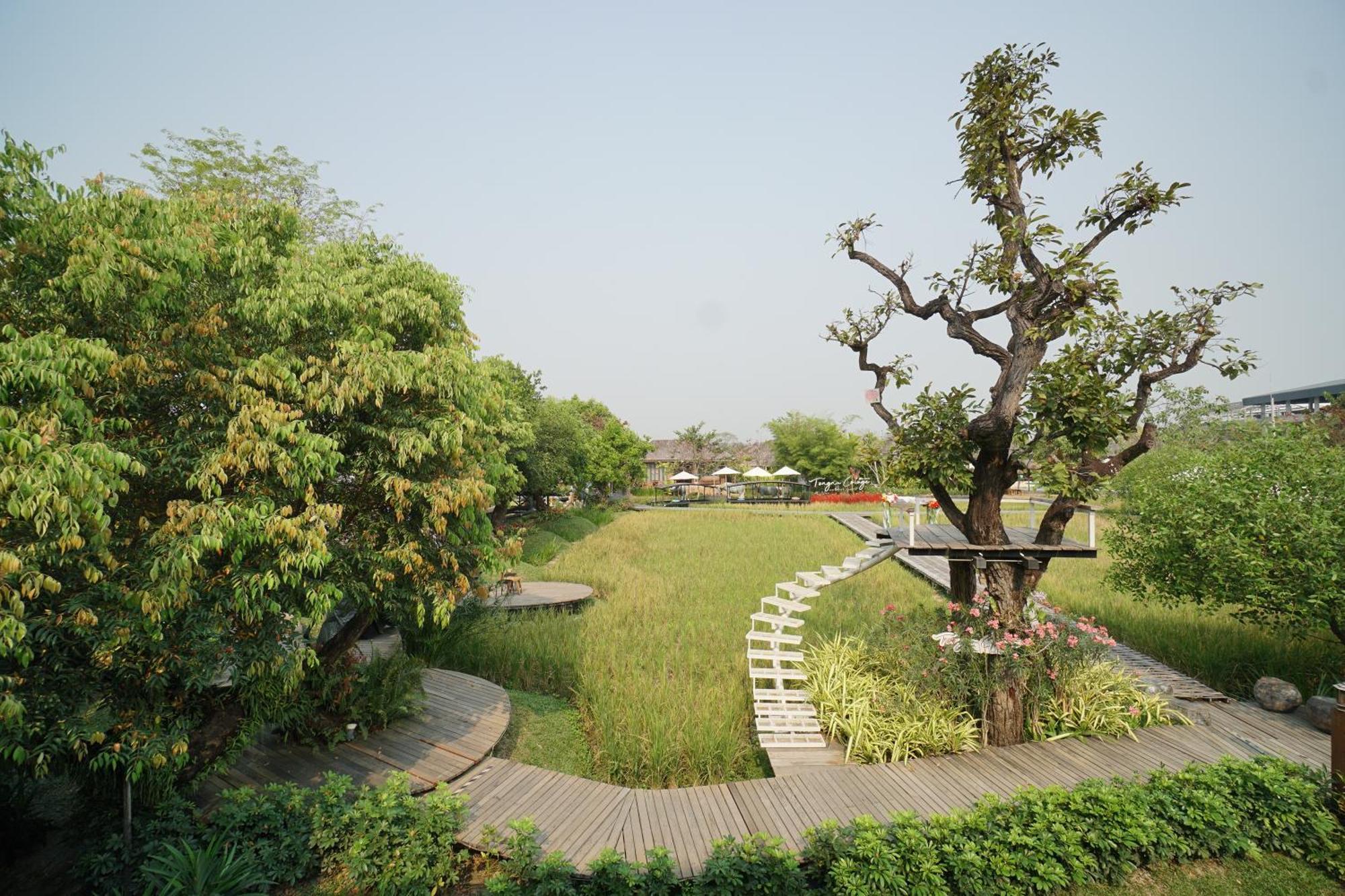 Tongna Cottage Natural Resort Chiang Mai Exterior photo